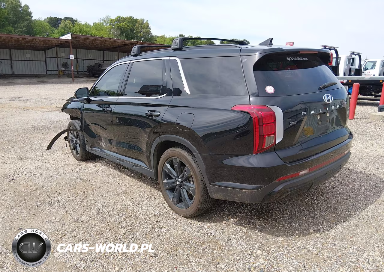 2023 Hyundai Palisade Xrt VIN:KM8R3DGE5PU635947 - 3
