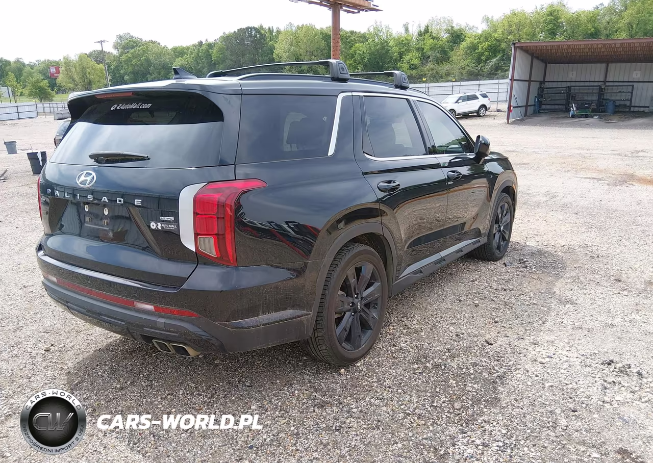 2023 Hyundai Palisade Xrt VIN:KM8R3DGE5PU635947 - 4