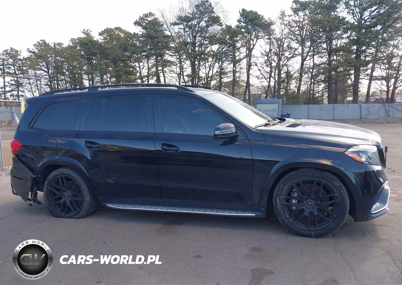 2017 Mercedes-Benz Amg Gls 63 4Matic VIN:4JGDF7FE4HA787810 - 13