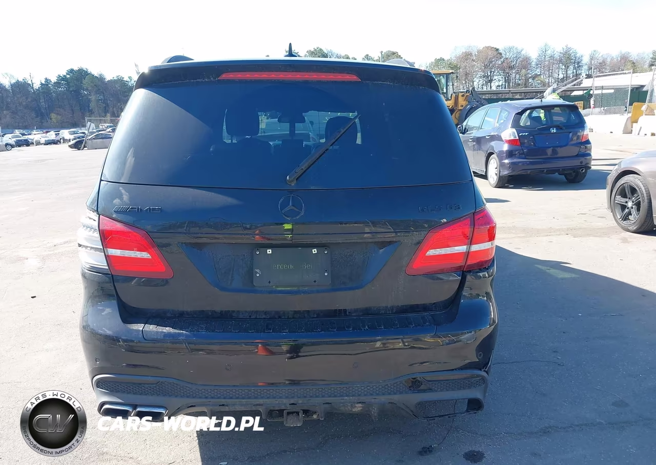 2017 Mercedes-Benz Amg Gls 63 4Matic VIN:4JGDF7FE4HA787810 - 16