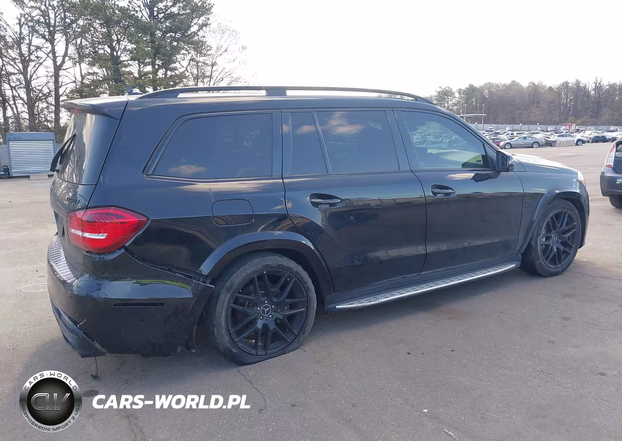 2017 Mercedes-Benz Amg Gls 63 4Matic VIN:4JGDF7FE4HA787810 - 6
