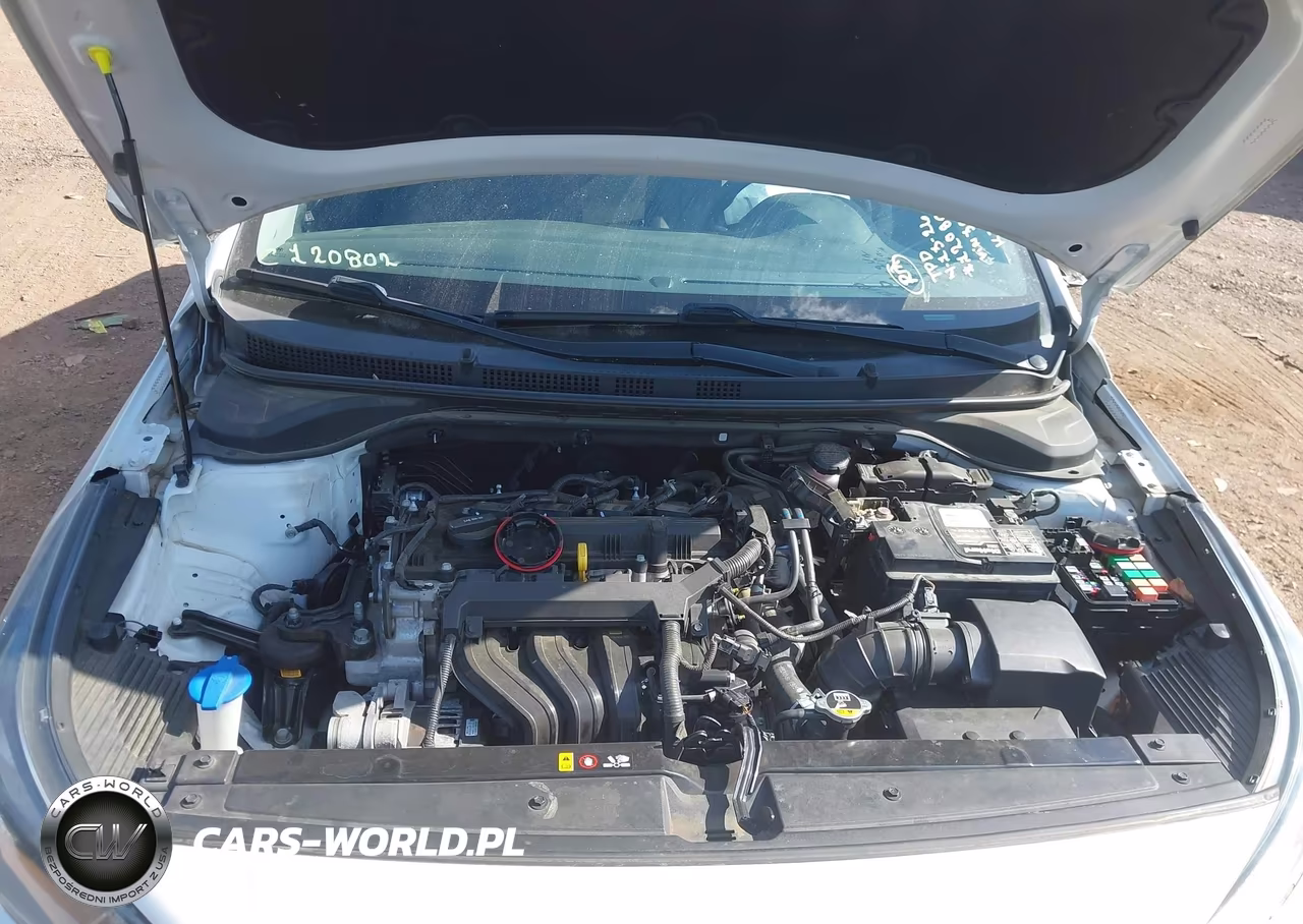 2020 Hyundai Accent Se VIN:3KPC24A69LE113832 - 10