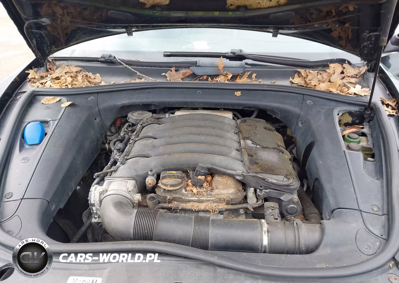 2004 Porsche Cayenne V6 VIN:WP1AA29P64LA21984 - 10