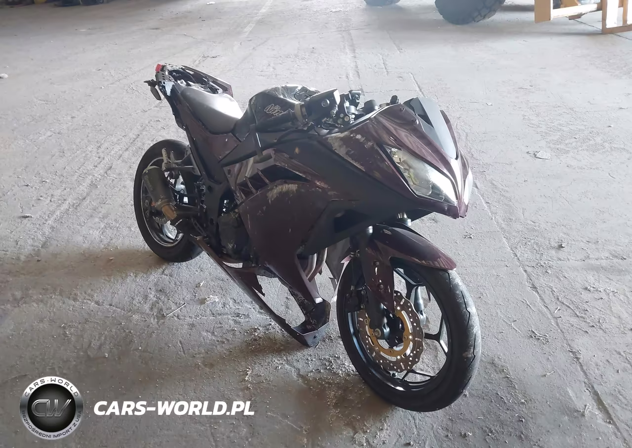 2013 Kawasaki Ex300 A