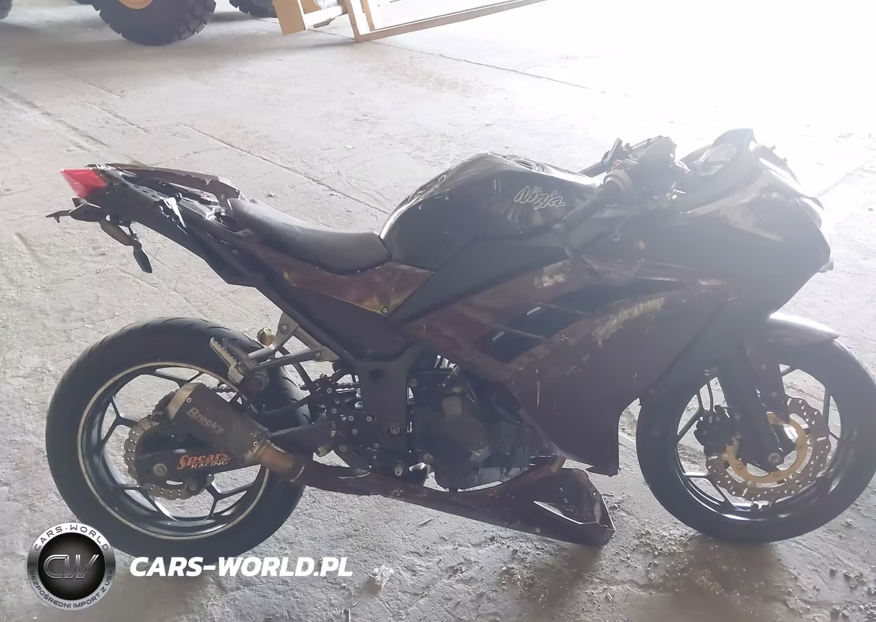 2013 Kawasaki Ex300 A VIN:JKAEX8A10DDA08795 - 11