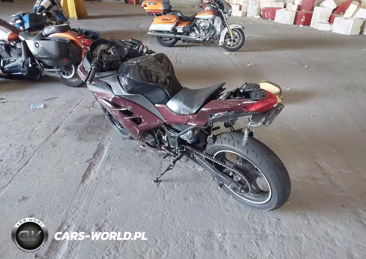 2013 Kawasaki Ex300 A VIN:JKAEX8A10DDA08795 - 3