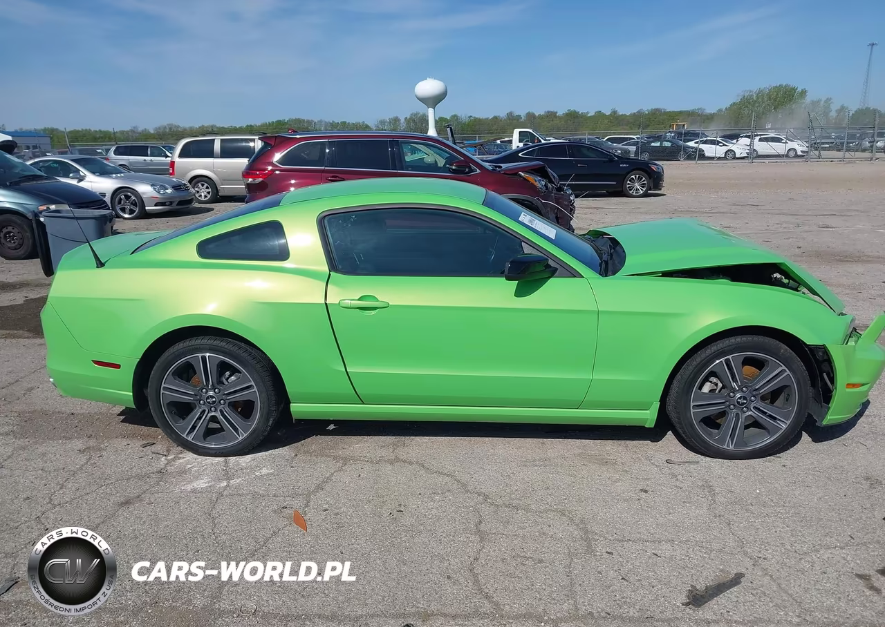 2013 Ford Mustang V6 VIN:1ZVBP8AM3D5232229 - 13