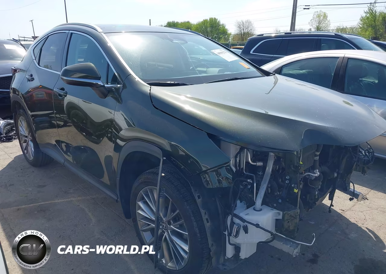 2024 Lexus Nx 350 Luxury VIN:2T2HGCEZ5RC038670 - 1