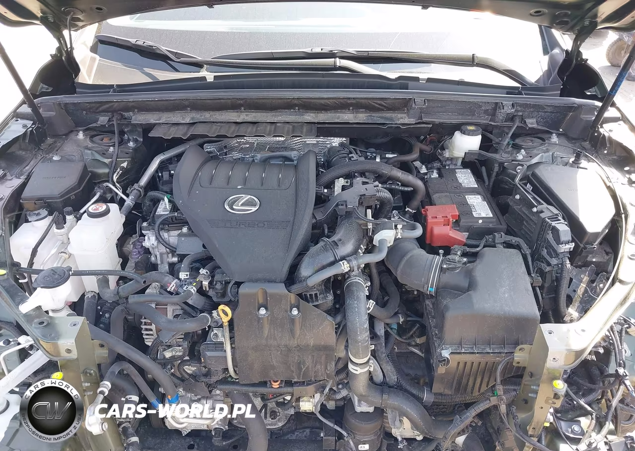 2024 Lexus Nx 350 Luxury VIN:2T2HGCEZ5RC038670 - 10