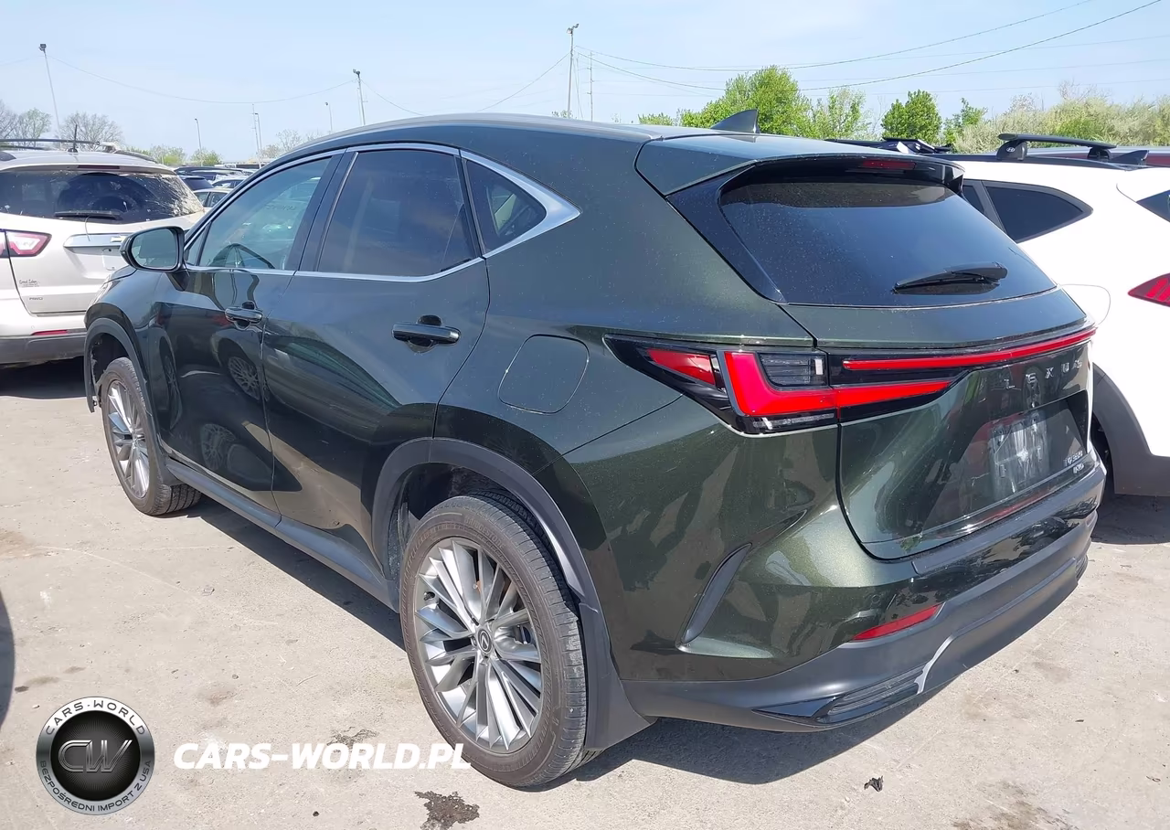 2024 Lexus Nx 350 Luxury VIN:2T2HGCEZ5RC038670 - 3