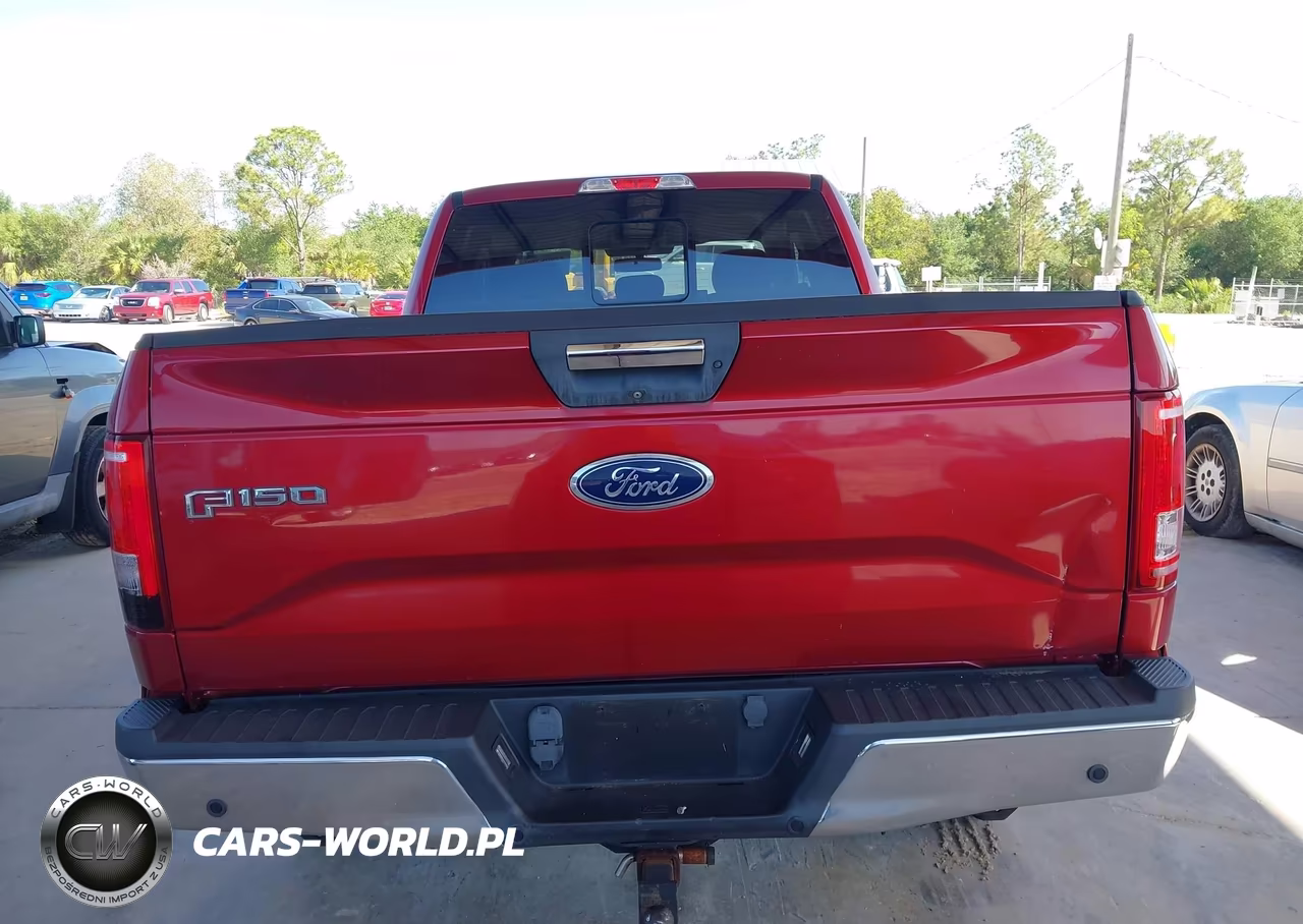 2017 Ford F-150 Xlt VIN:1FTEX1CP8HFB49586 - 16