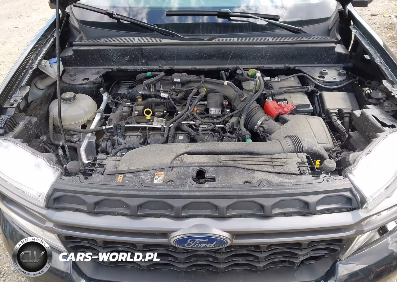 2024 Ford Maverick Xlt VIN:3FTTW8J9XRRB61928 - 10