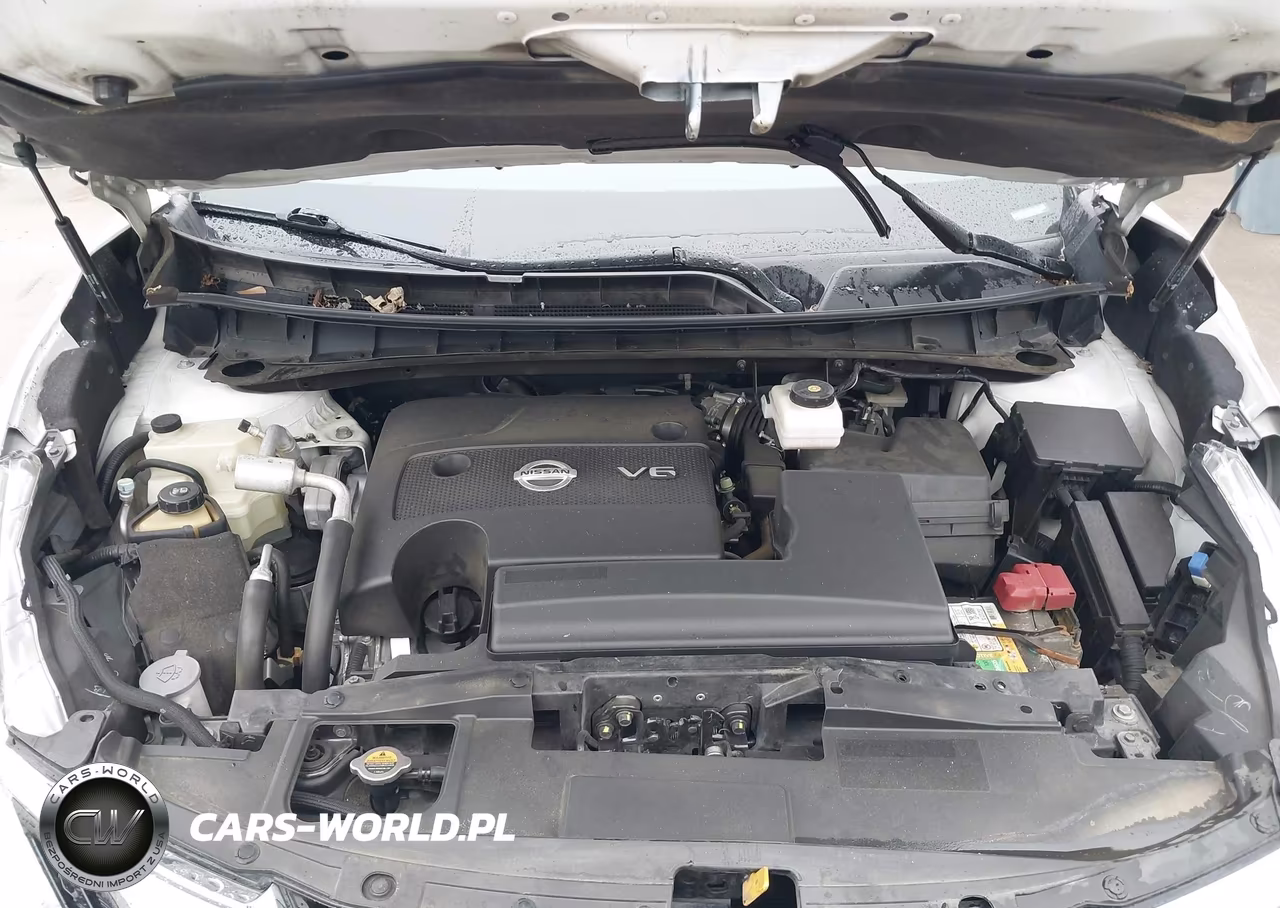 2017 Nissan Murano Platinum VIN:5N1AZ2MG3HN110497 - 10