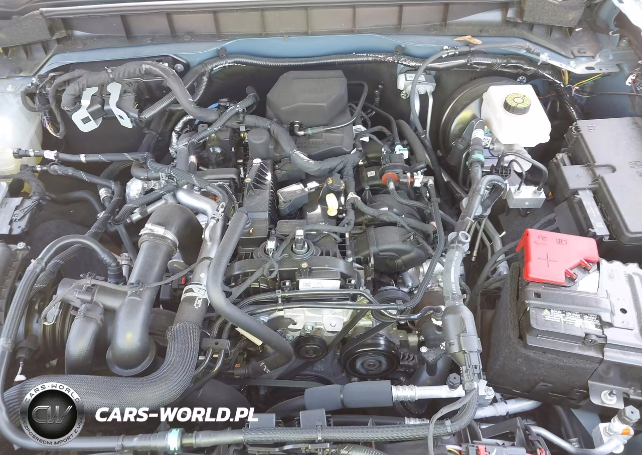 2024 Ford Bronco Outer Banks VIN:1FMDE8BH3RLB11959 - 10