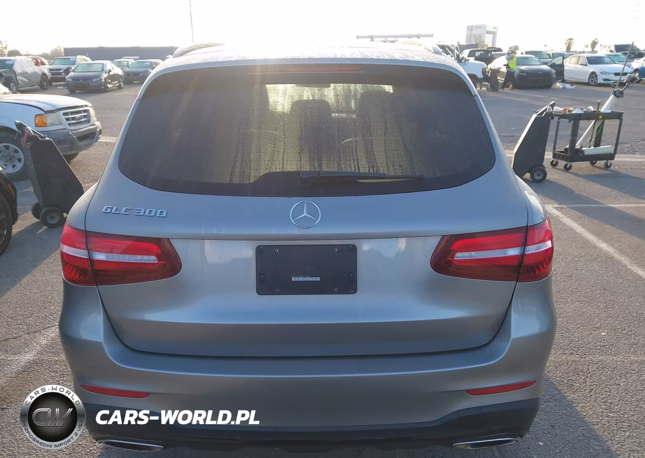 2019 Mercedes-Benz Glc 300 VIN:WDC0G4JB4KV179002 - 16