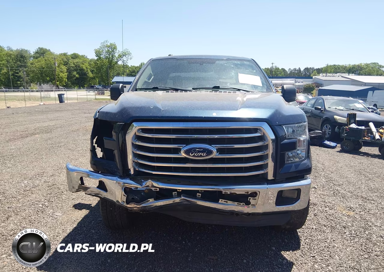 2015 Ford F-150 Xlt VIN:1FTFW1EF0FFB44102 - 13