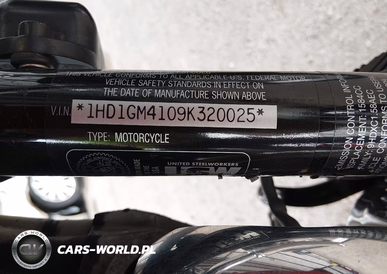 2009 Harley-Davidson Fxd VIN:1HD1GM4109K320025 - 10