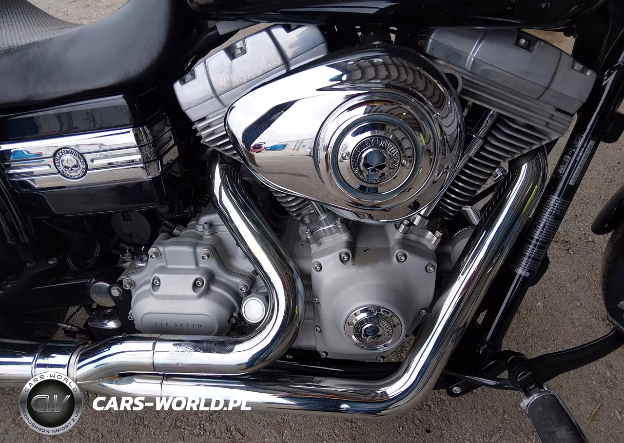 2009 Harley-Davidson Fxd VIN:1HD1GM4109K320025 - 8