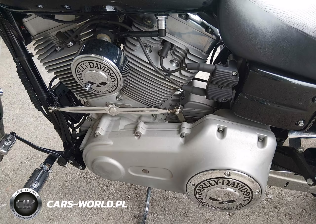 2009 Harley-Davidson Fxd VIN:1HD1GM4109K320025 - 9