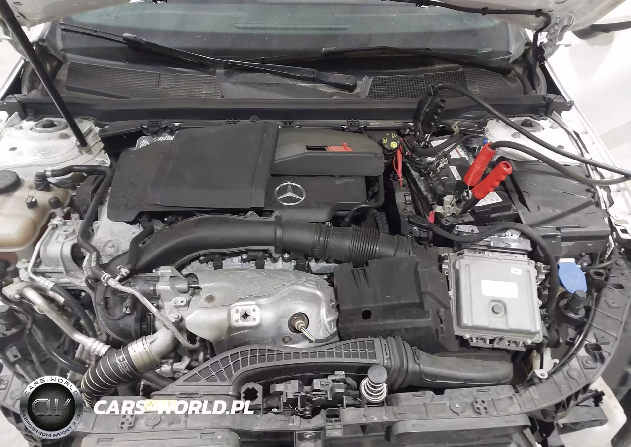 2019 Mercedes-Benz A 220 4Matic VIN:WDD3G4FB9KW022903 - 10