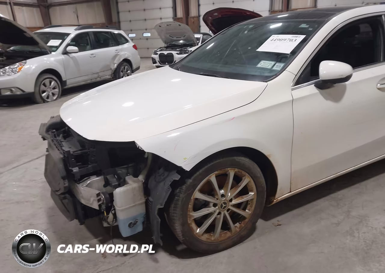 2019 Mercedes-Benz A 220 4Matic VIN:WDD3G4FB9KW022903 - 19