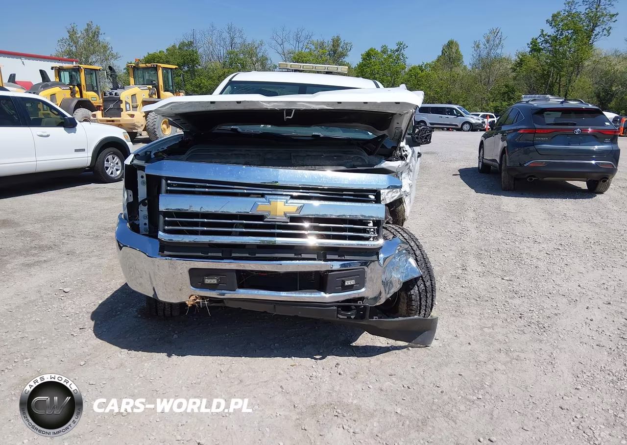 2016 Chevrolet Silverado 2500Hd Wt VIN:1GC2KUEG0GZ207669 - 12