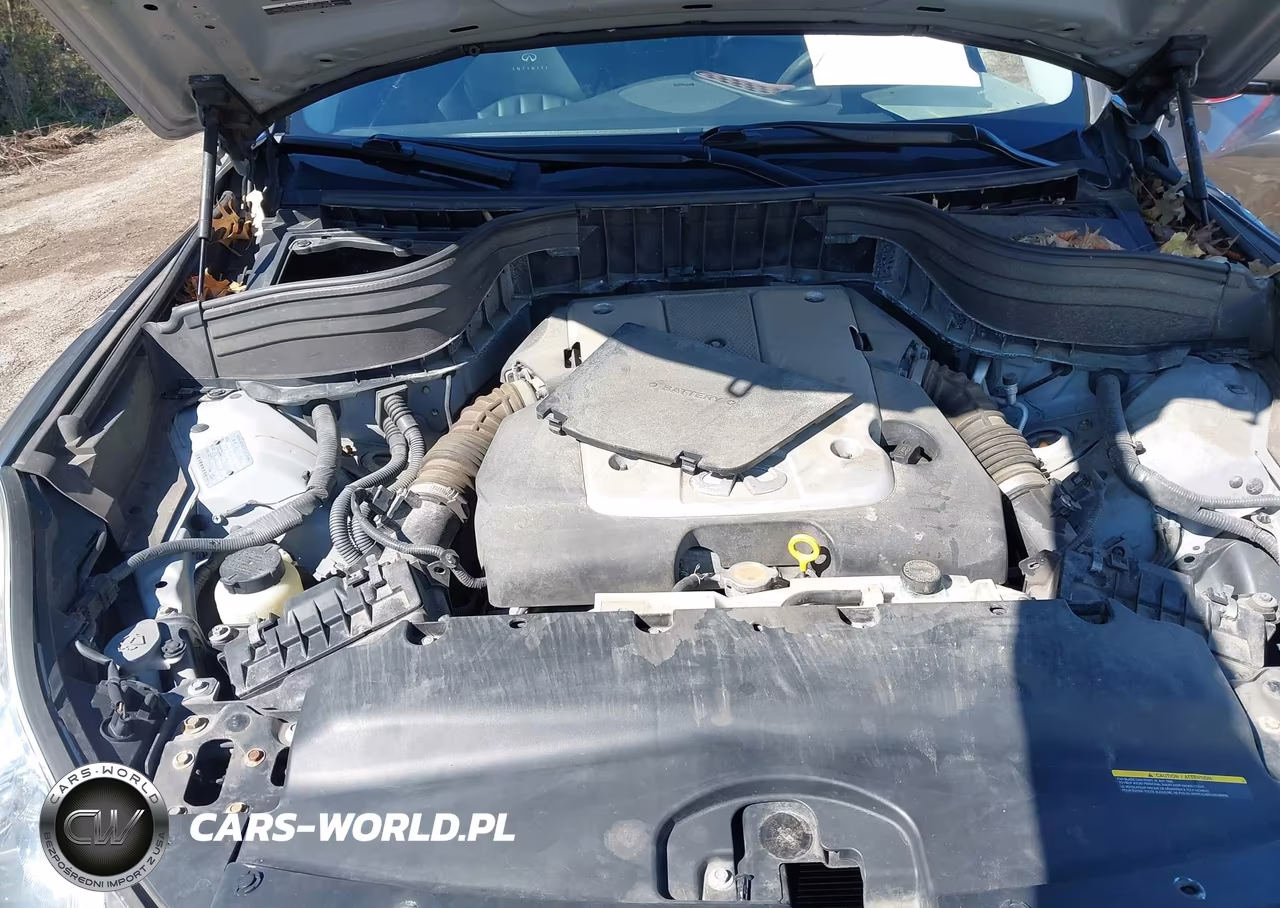 2008 Infiniti Ex35 Journey VIN:JNKAJ09F38M352534 - 10