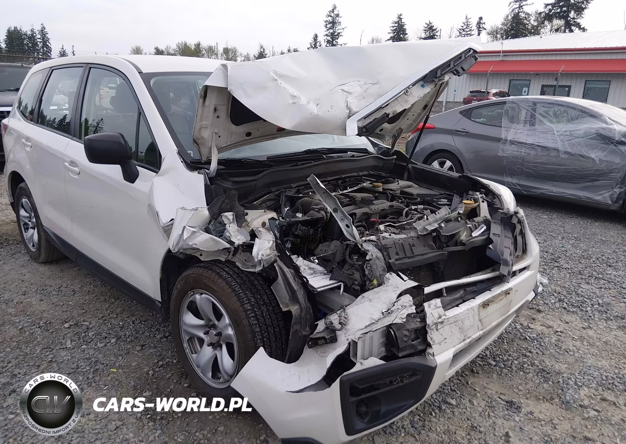 2018 Subaru Forester 2.5I VIN:JF2SJAAC1JG443532 - 6