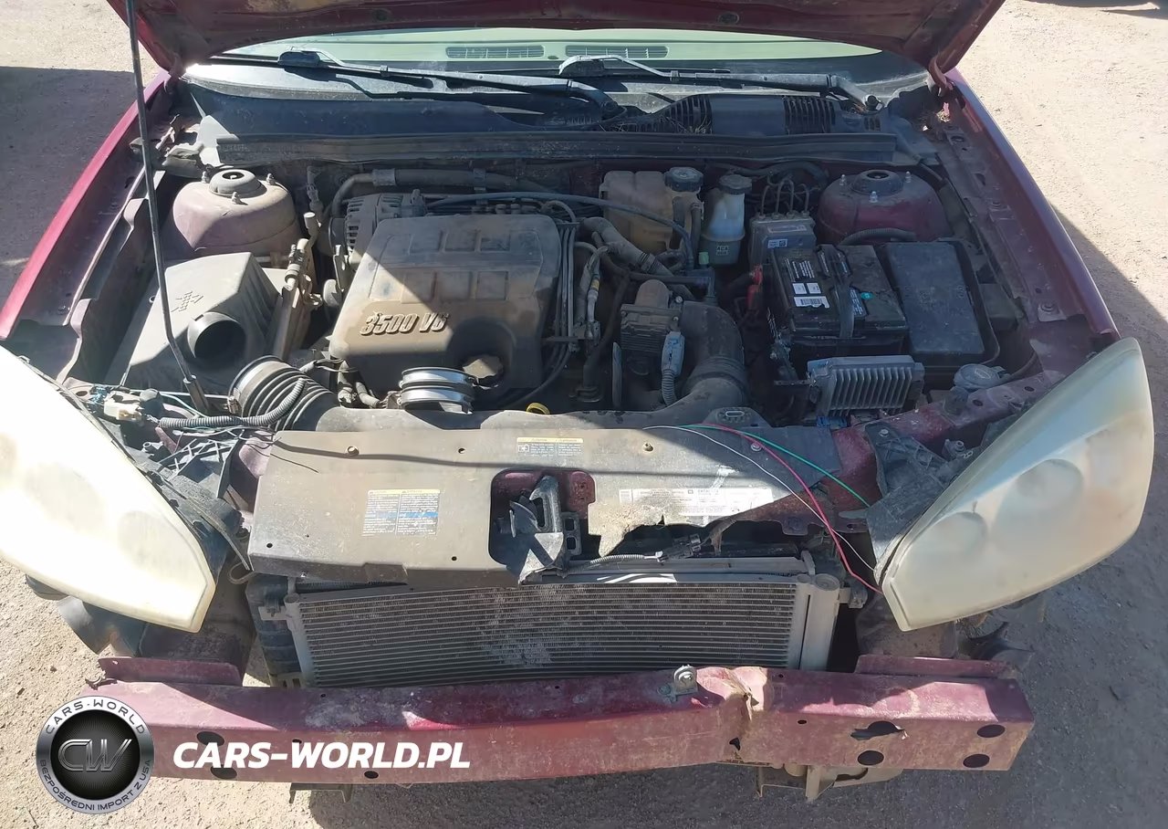 2005 Chevrolet Malibu Maxx Ls VIN:1G1ZT64805F238803 - 10