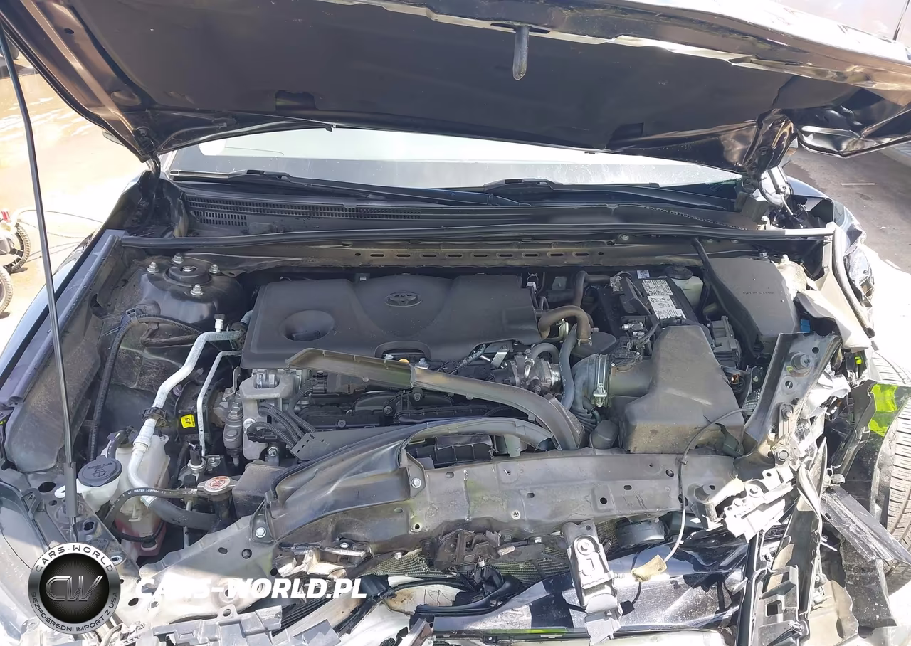 2023 Toyota Camry Le VIN:4T1C11AK2PU104360 - 10