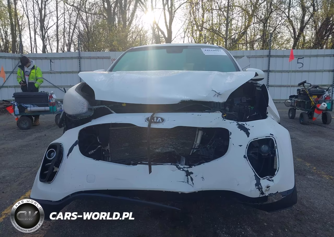 2019 Kia Sportage Lx VIN:KNDPMCACXK7518737 - 12