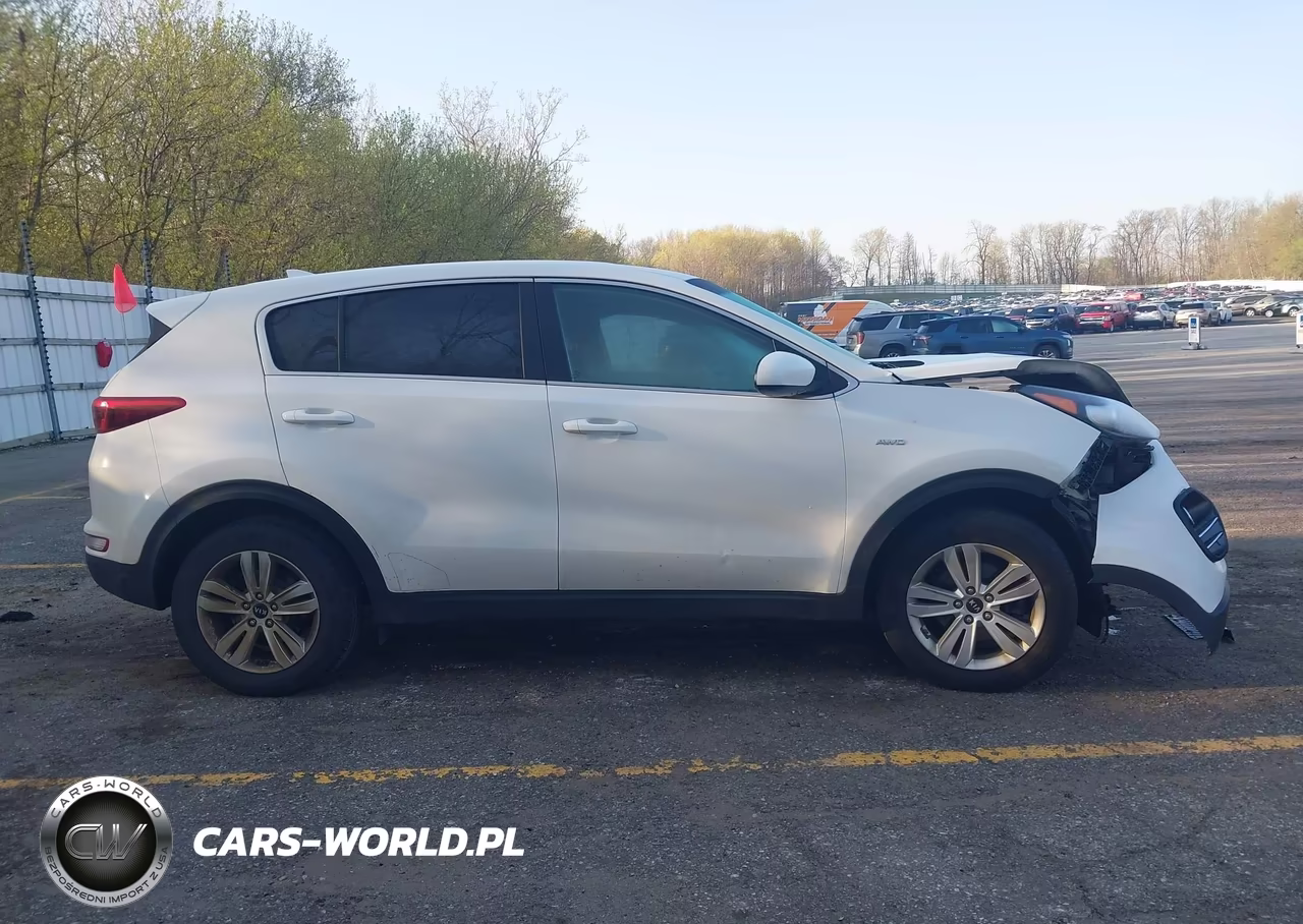 2019 Kia Sportage Lx VIN:KNDPMCACXK7518737 - 13