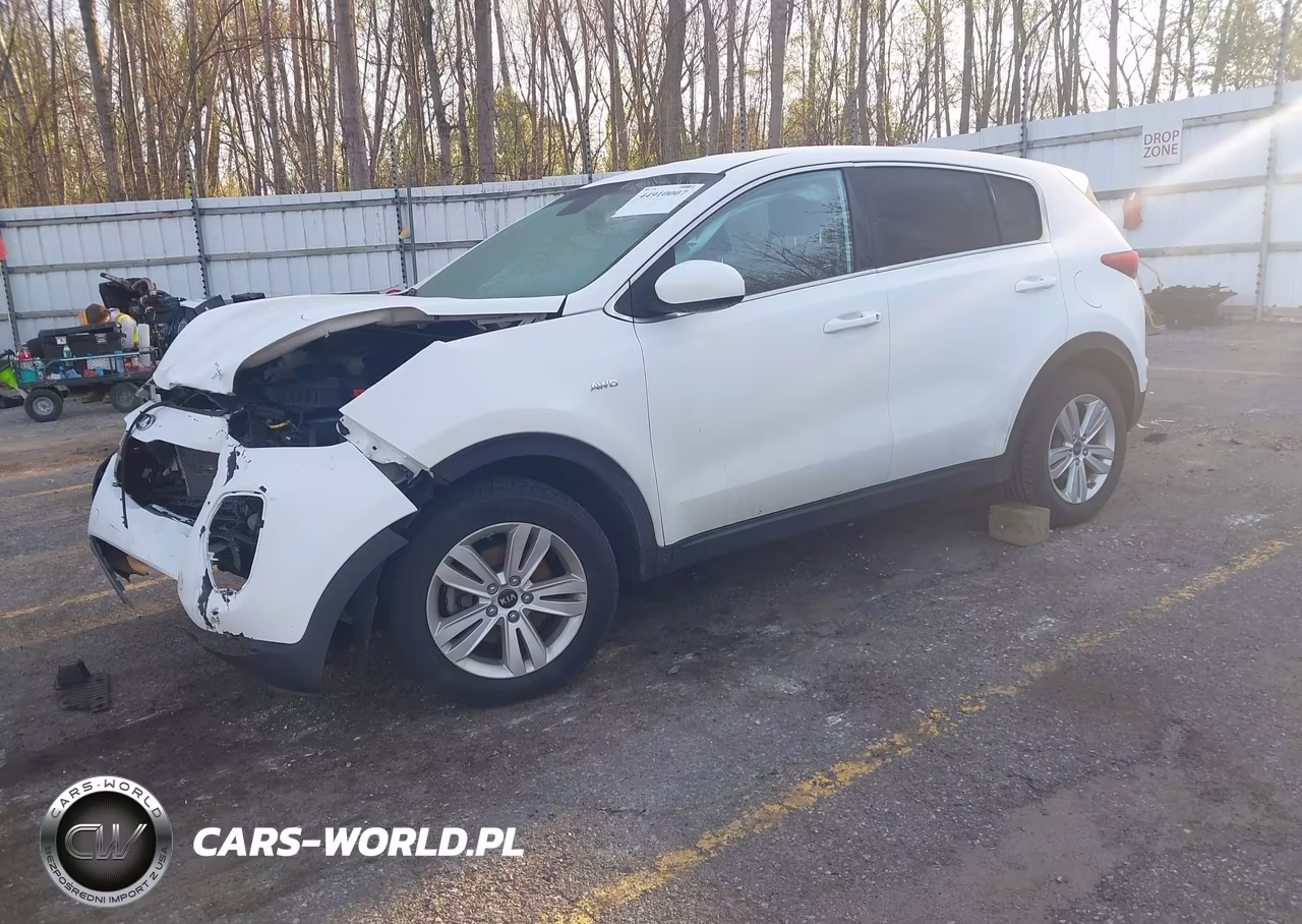 2019 Kia Sportage Lx VIN:KNDPMCACXK7518737 - 2
