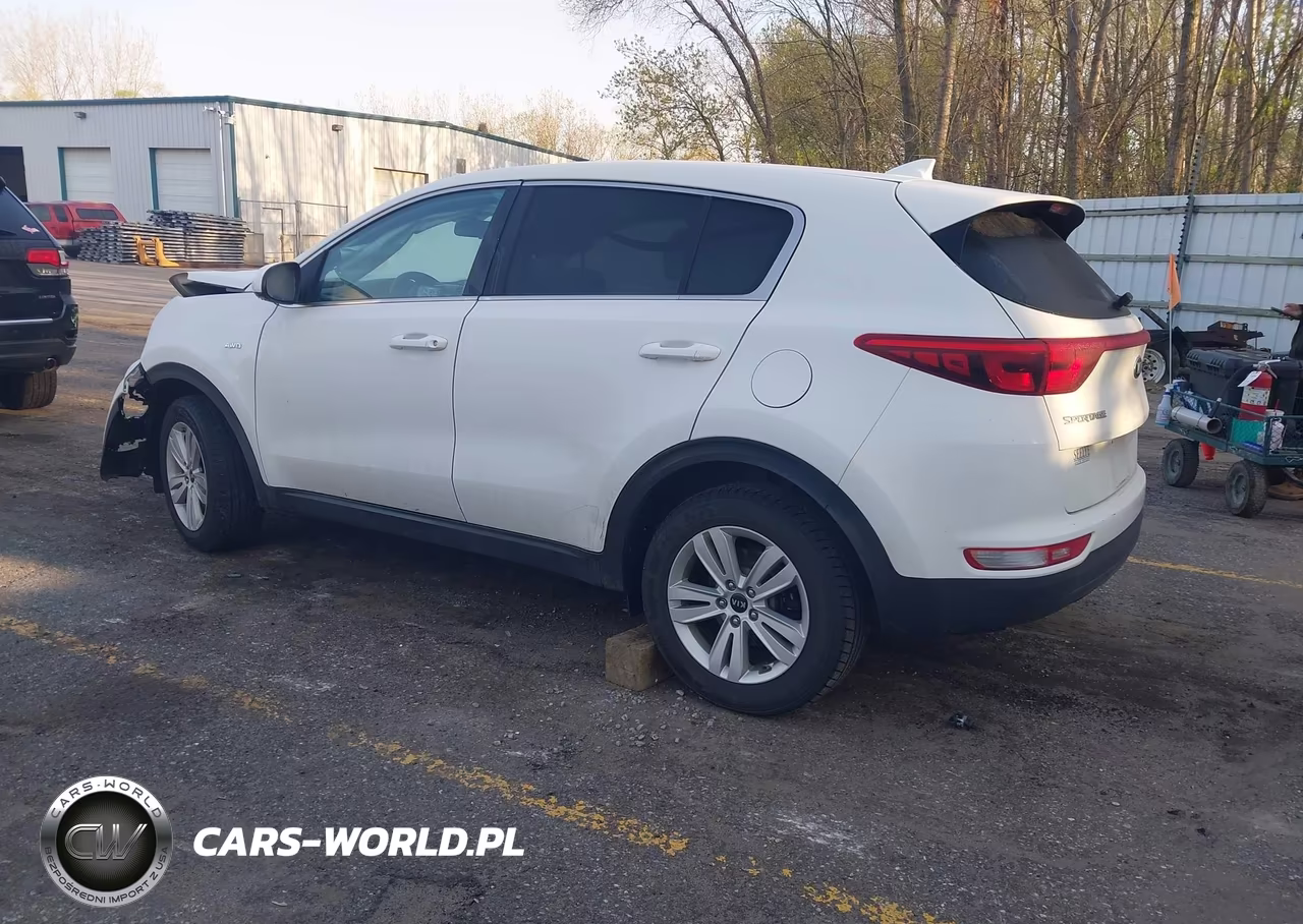 2019 Kia Sportage Lx VIN:KNDPMCACXK7518737 - 3