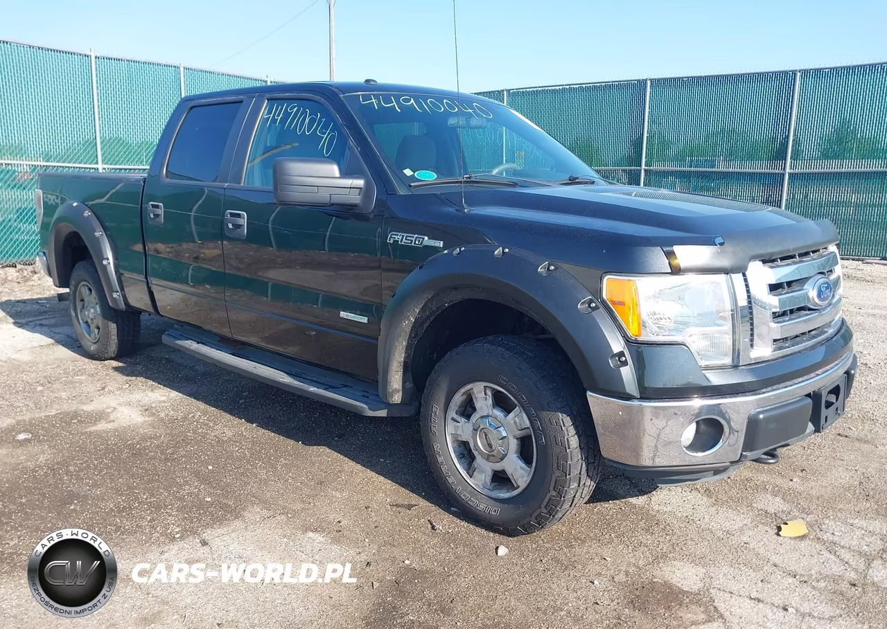 2011 Ford F-150 Xlt