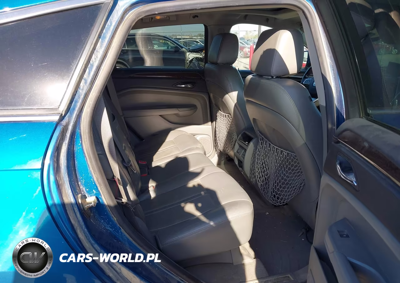 2010 Cadillac Srx Luxury Collection VIN:3GYFNAEY0AS518923 - 8