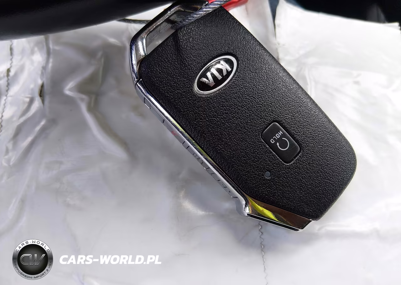 2021 Kia Telluride S VIN:5XYP6DHCXMG137434 - 11