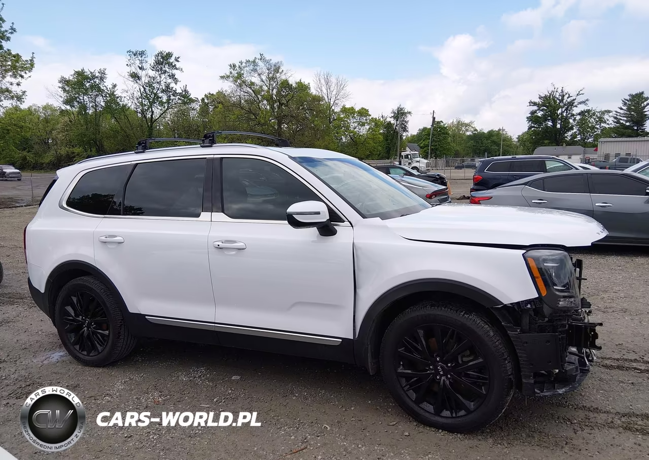 2021 Kia Telluride S VIN:5XYP6DHCXMG137434 - 14
