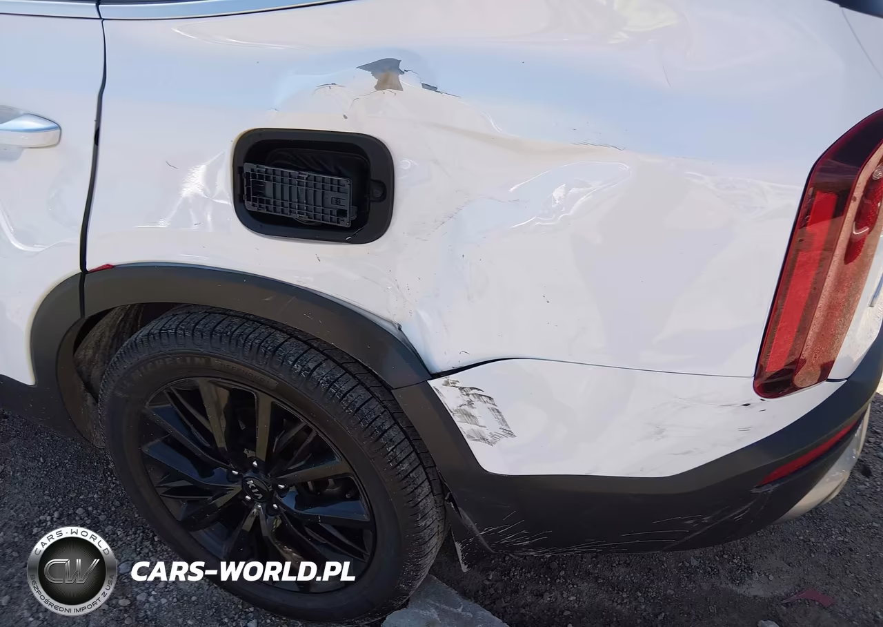 2021 Kia Telluride S VIN:5XYP6DHCXMG137434 - 19