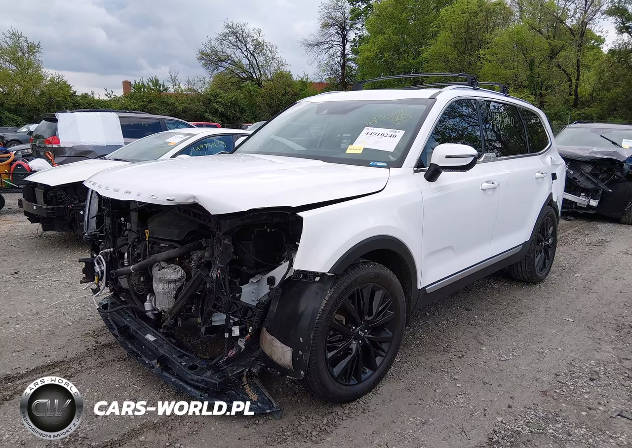 2021 Kia Telluride S VIN:5XYP6DHCXMG137434 - 2