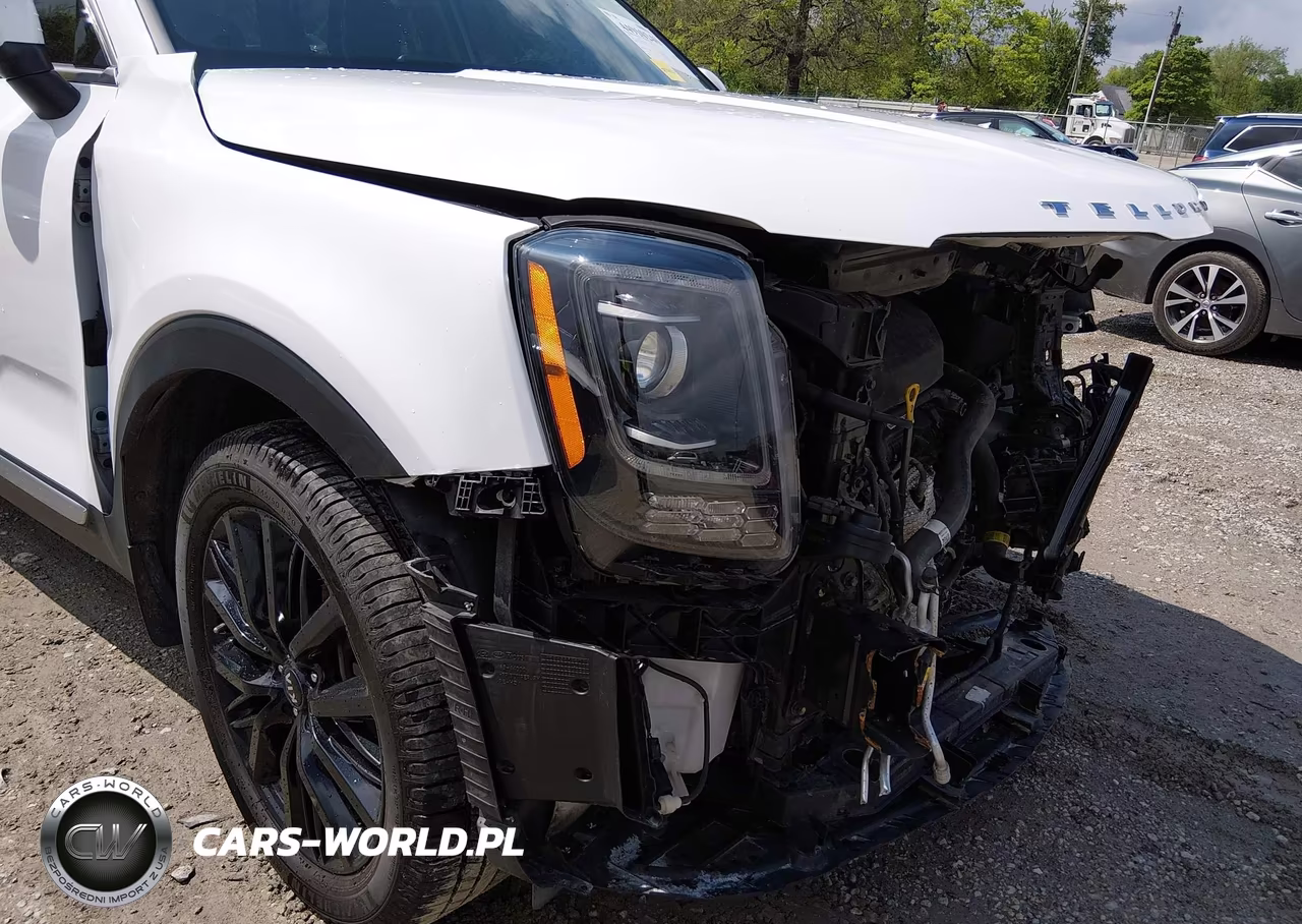 2021 Kia Telluride S VIN:5XYP6DHCXMG137434 - 6