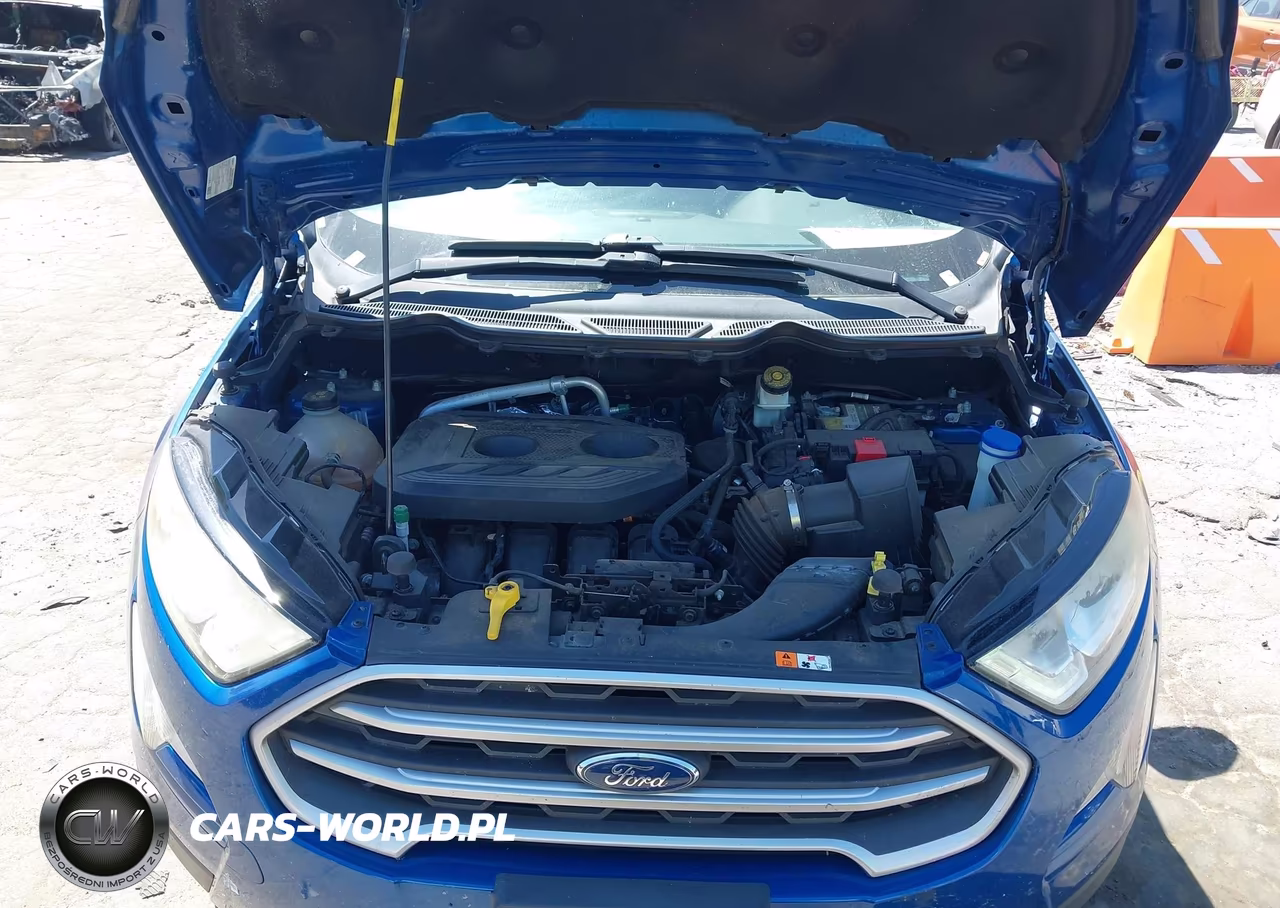2019 Ford Ecosport Se VIN:MAJ6S3GL6KC270766 - 10