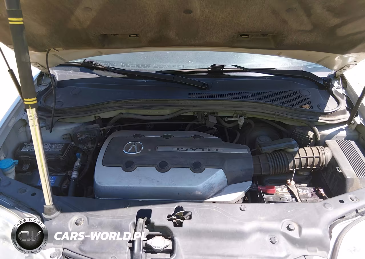 2003 Acura Mdx VIN:2HNYD187X3H545308 - 10
