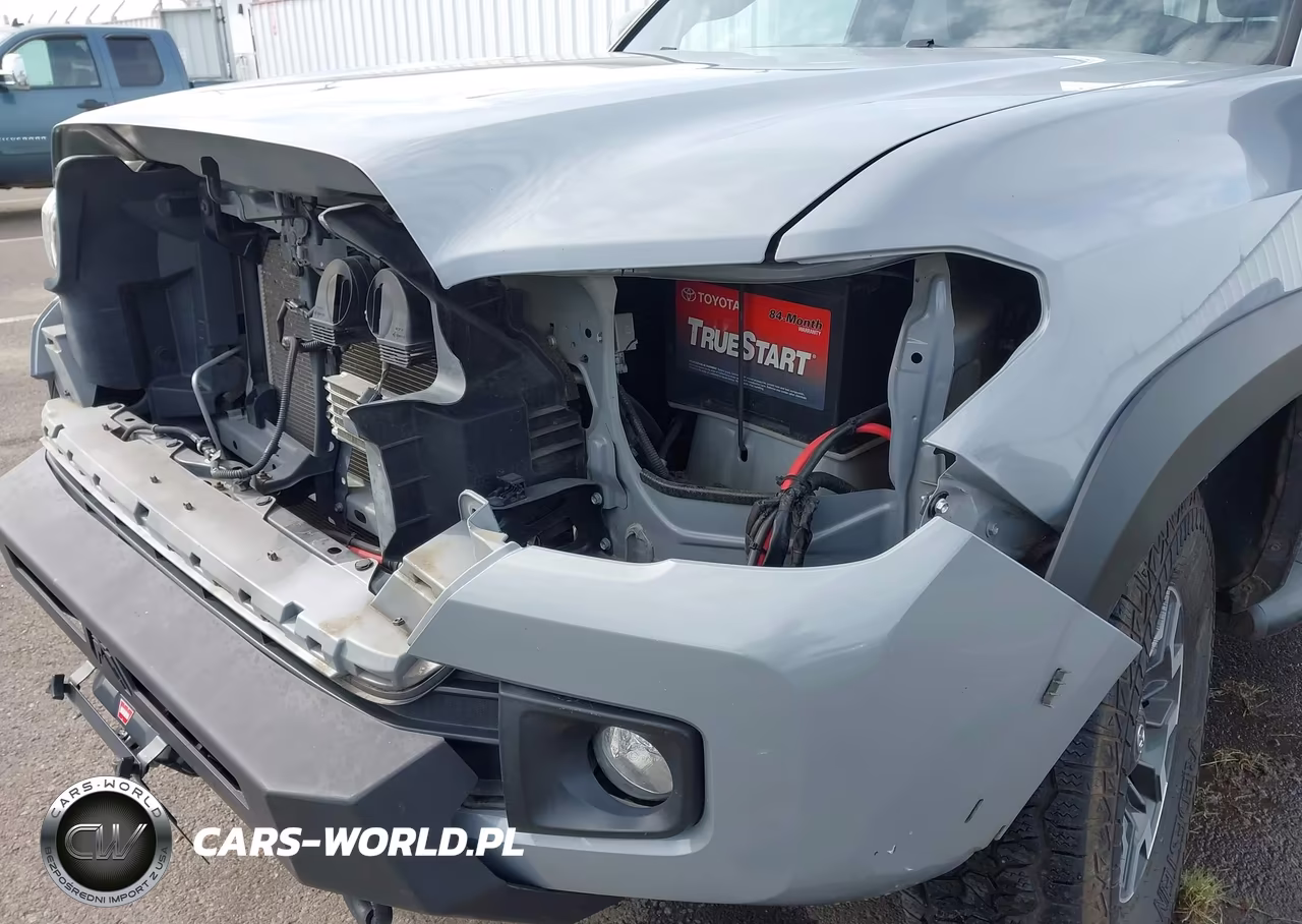 2019 Toyota Tacoma Trd Off Road VIN:3TMCZ5AN8KM275609 - 6