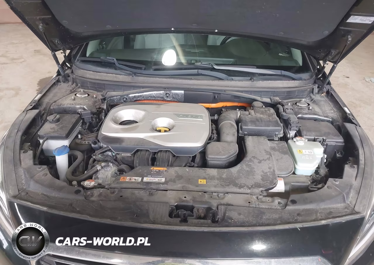 2017 Hyundai Sonata Plug-In Hybrid VIN:KMHE14L20HA066752 - 10
