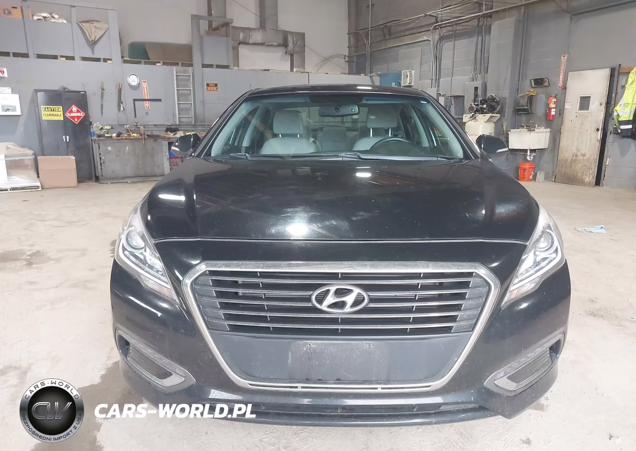 2017 Hyundai Sonata Plug-In Hybrid VIN:KMHE14L20HA066752 - 12