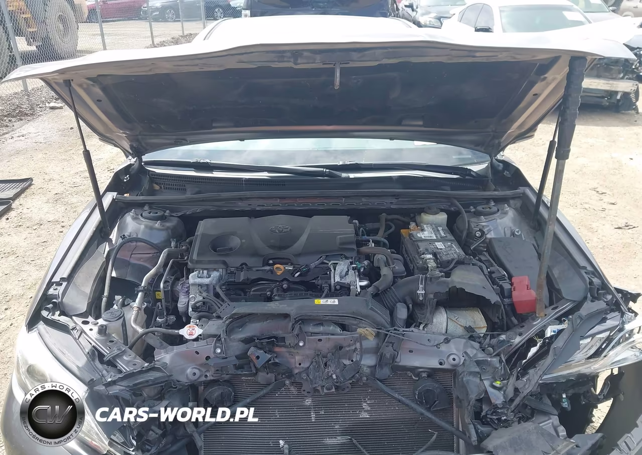 2018 Toyota Camry Xse VIN:4T1B61HK1JU090283 - 10