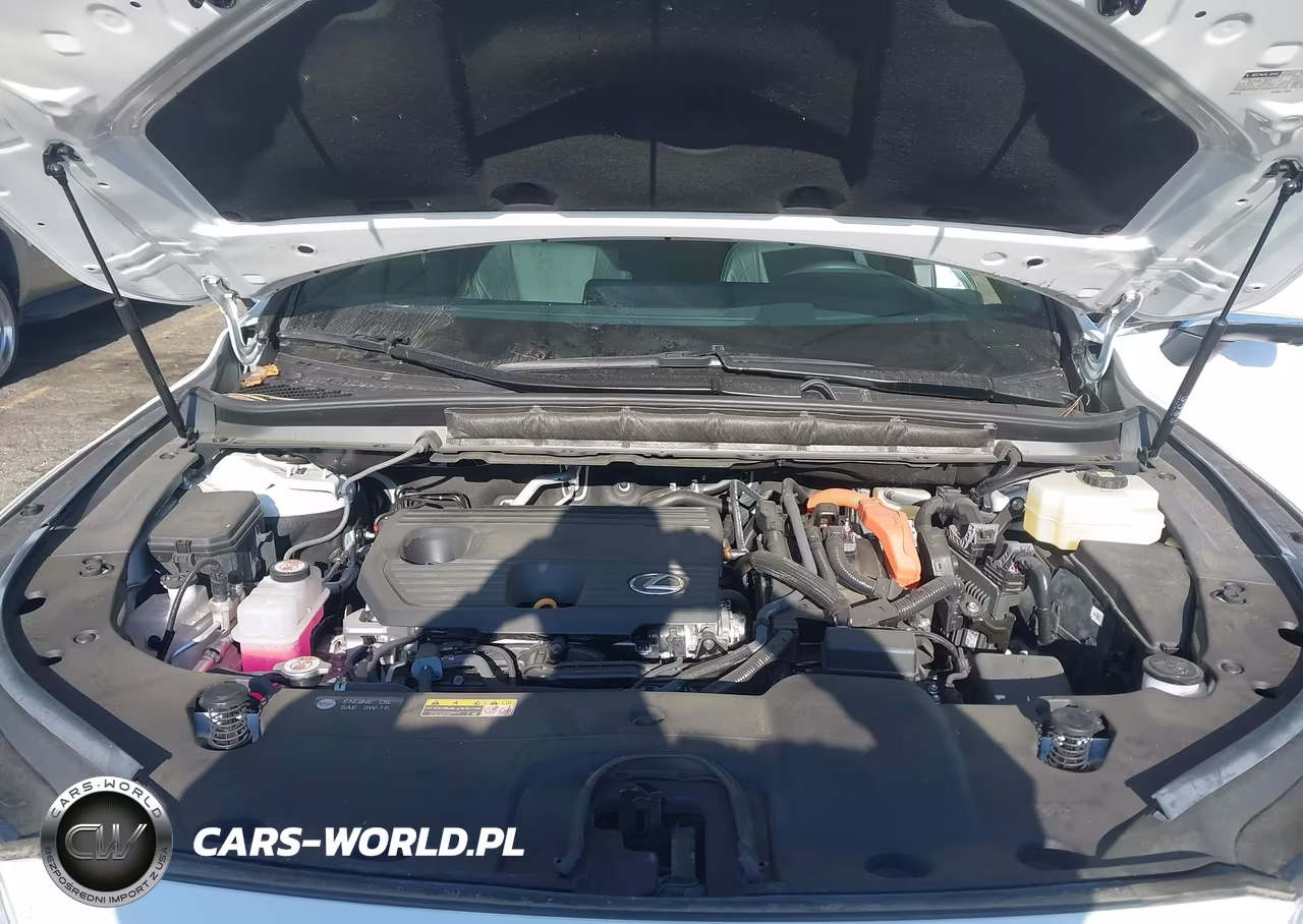 2025 Lexus Rx 350H Premium Plus VIN:2T2BBMCAXSC067465 - 10