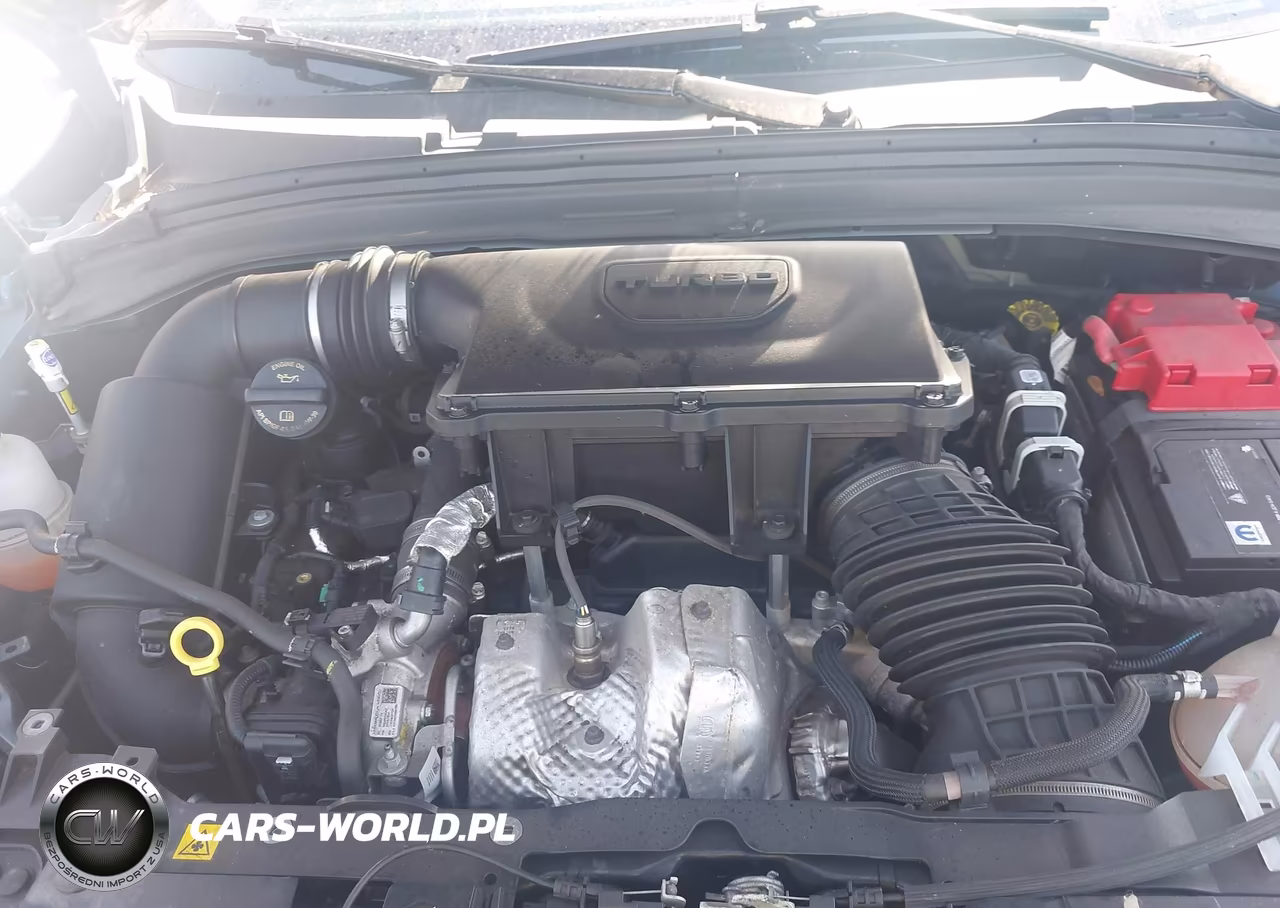 2024 Dodge Hornet Gt Awd VIN:ZACNDFAN9R3A19328 - 10