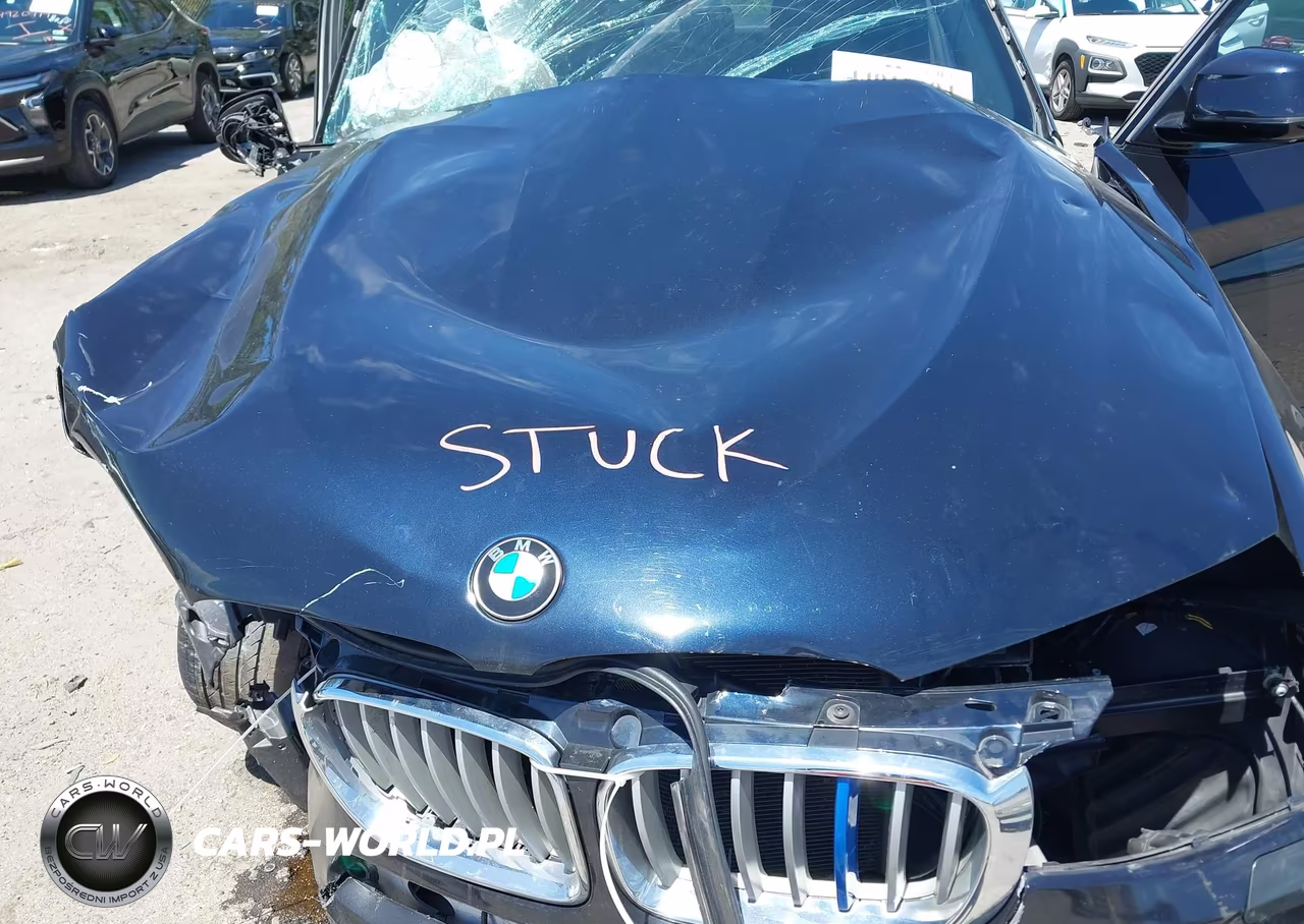 2017 BMW X3 Sdrive28I VIN:5UXWZ7C37H0V92571 - 10